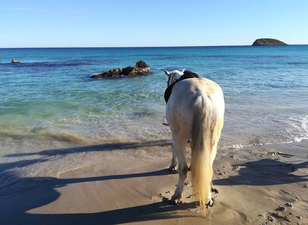 Horse riding in Ibiza